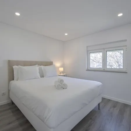 Olivais Modern By Homing