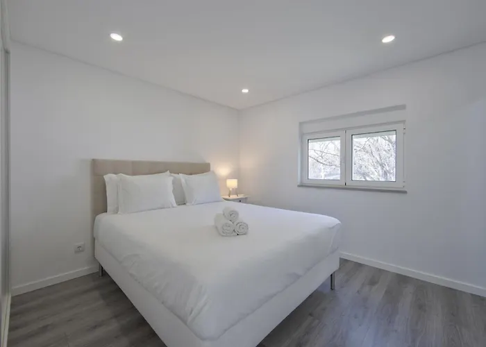 Olivais Modern By Homing